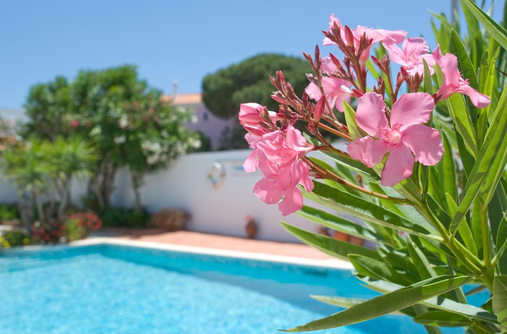 Apartamentos Turisticos Solラゴス エクステリア 写真